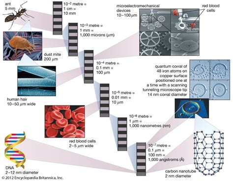 Synthesis and Biomedical Applications of Graphene: Present and Future ...