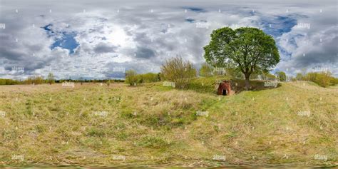 360° view of Summer. Blue sky. Tree. Green glass. Image with 3D spherical panorama with 360 ...