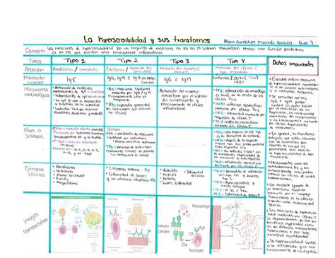 Hipersensibilidad Y Sus Trastornos Miranda Gonzalez UDocz