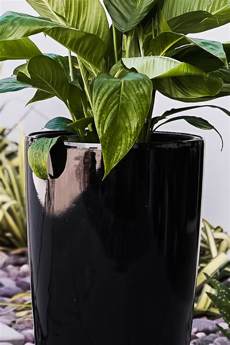 Nested Plastic Self Watering Round Planter Pot Pl3585bk Xbrand Your Home And Garden Source