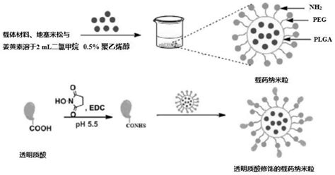 一种透明质酸修饰的地塞米松 姜黄素共负载聚合物纳米粒及其制备方法和应用