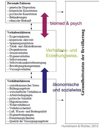 Determinanten Der Gesundheit Flashcards Quizlet