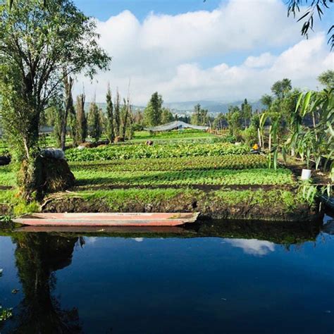 O Que Era Chinampas Braincp