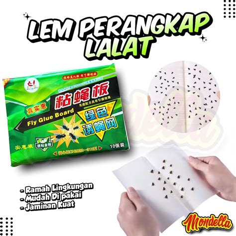 Jual Perangkap Lem Lalat Kertas Papan Glue Pad Serangga Pest Sekali