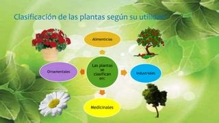 Clasificacion De Las Plantas Por Su Utilidad PPT