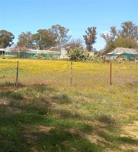 Vacant Land Plot For Sale In Nieuwoudtville 64 Goedehoop Street