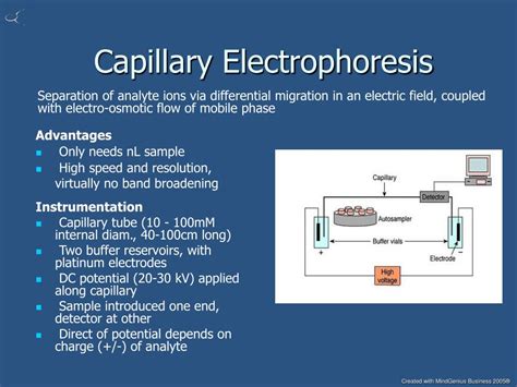 PPT - Capillary Electrophoresis PowerPoint Presentation, free download - ID:4263132