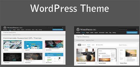 The Secret Guide to Basic WordPress Theme - Grace Themes