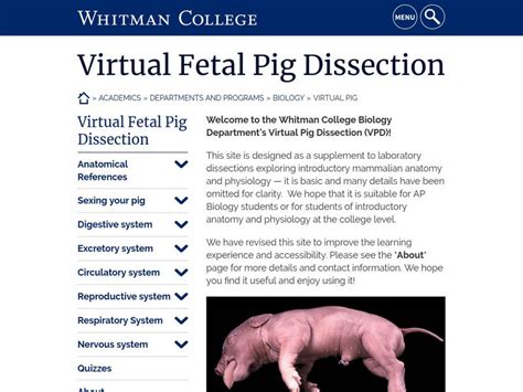 Whitman College Virtual Fetal Pig Dissection Interactive For 9th