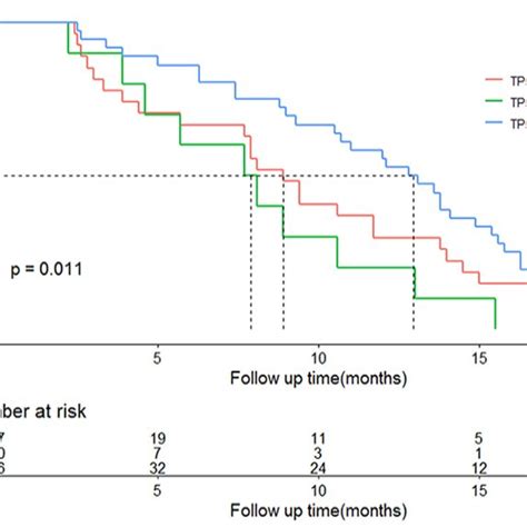 Survival Analysis Of TP53 EGFR Co Mutation TP53MU Indicates TP53