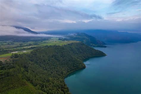 Selamatkan Danau Toba Siswa SMA Sulap Eceng Gondok Jadi Pupuk Hayati