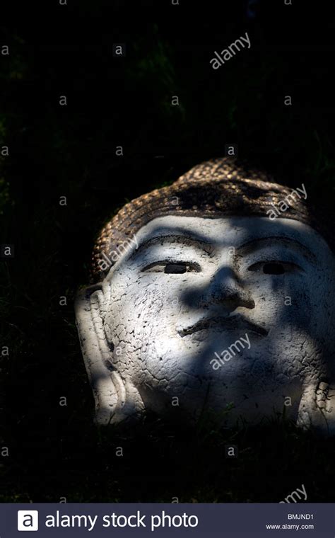 Statue Of Buddhas Head Hi Res Stock Photography And Images Alamy