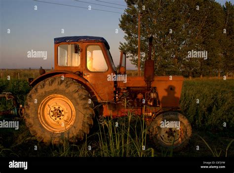 Belarus tractor Stock Photo - Alamy