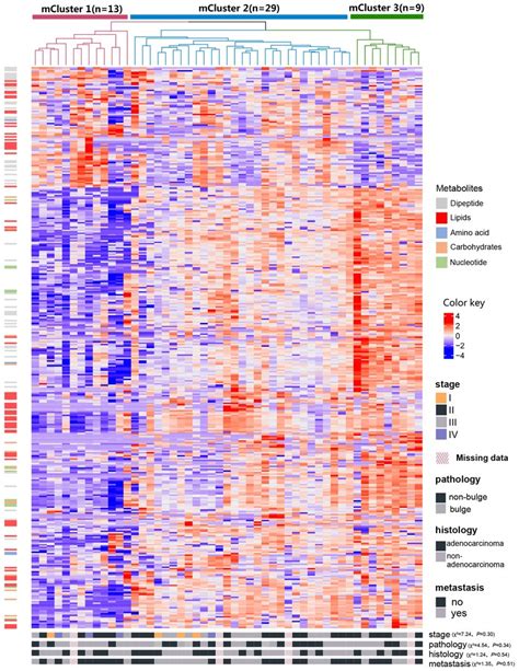 Identification Of Crc Metabolite Based Tumor Subtypes A Heatmap Of Download Scientific