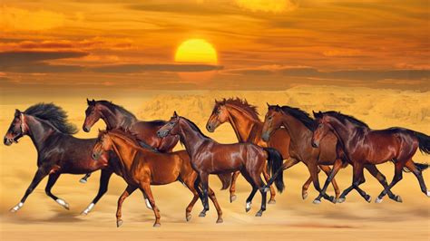 7 Red Horse Running Images Hd Wallpaper - carrotapp