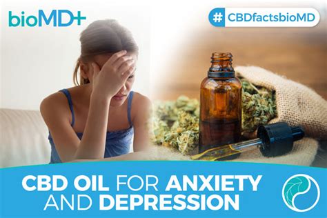 Best Cbd Oil For Anxiety Cbd Oil Reduce Stress And Depression