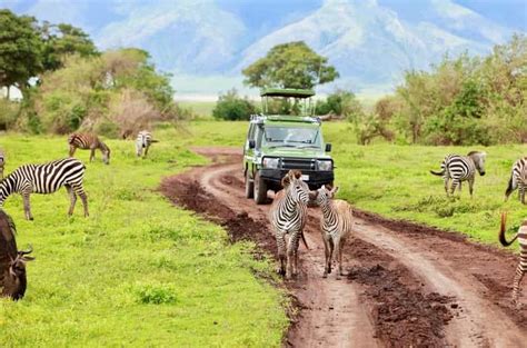 Jours De Safari Au Camp Sauvage Du Ngorongoro Et Au Lac Manyara