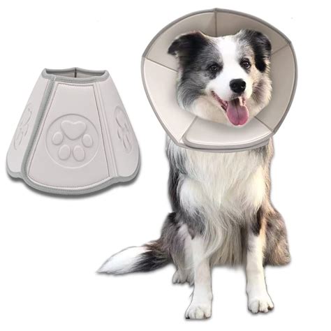 Small Dog Neck Cone At Donald Tripp Blog