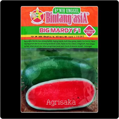 Jual Benih Semangka Inul Merah Big Mardy F Gram Bintang Asia