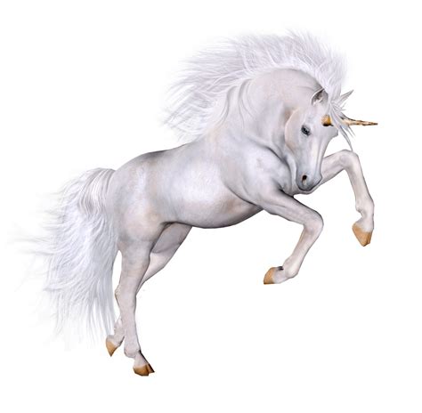 Unicorn Transparent