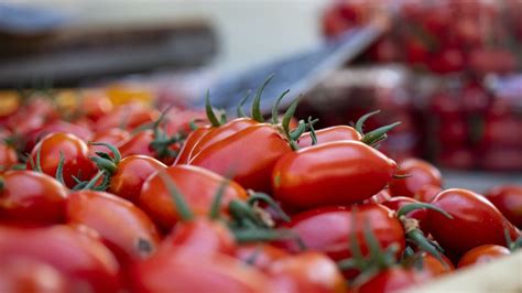 Cómo revivir las plantas de tomate Naturalvegtable