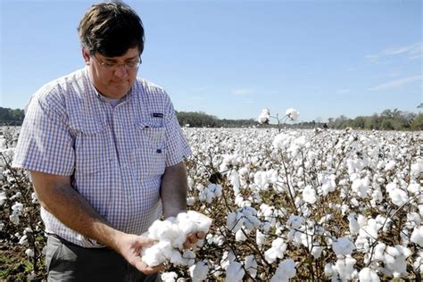 Cotton Farmers Battle Big Merchant Wsj