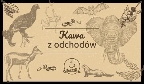 Kawa Z Odchod W Zwierz T Kawowa Kupa Coffee With Me