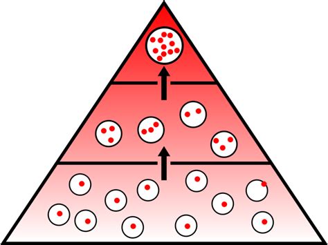 Download Ecology - Bioaccumulation Diagram Clipart (#720397) - PinClipart