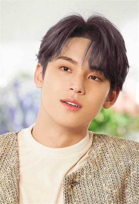 Mingyu Svt Your Choice One Side Ver Shoot Behind Portrait Crop