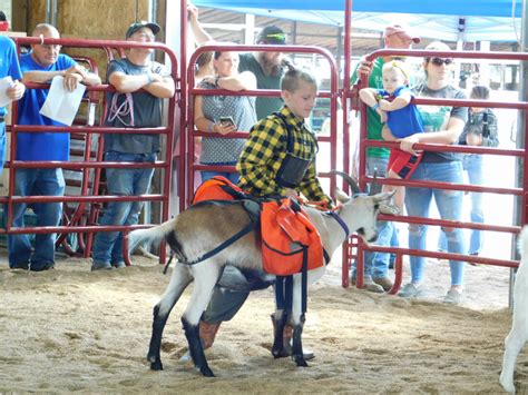 Belmont County Fair Going Online News Sports Jobs The Times Leader