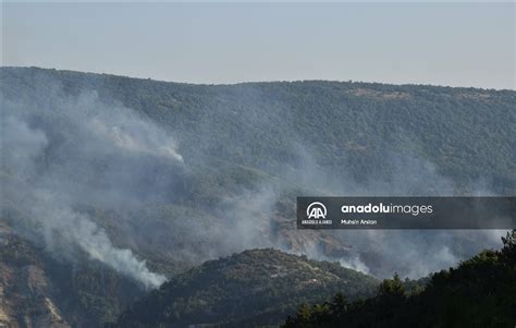 Bilecik te çıkan orman yangını kontrol altına alındı