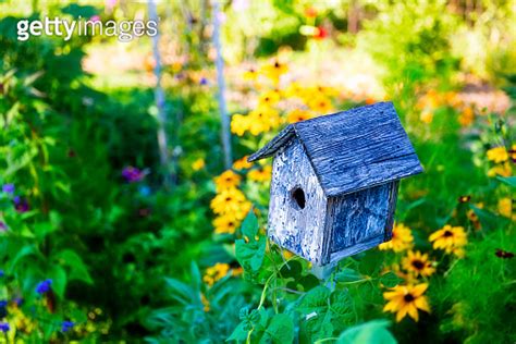 Birdhouse in Flower Garden 이미지 1386540005 게티이미지뱅크