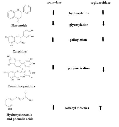 Structure activity relationship between polyphenols and α amylase and