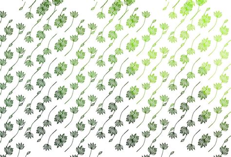 Light Green Vector Sketch Background 5329659 Vector Art At Vecteezy