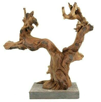 Driftwood Branches For Sale The Urban Decor