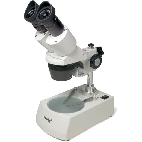 Levenhuk 3ST Stereo Microscope 110V Gray 35323 B H Photo Video