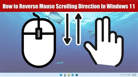 How To Reverse Mouse Scrolling Direction In Windows 11 YouTube