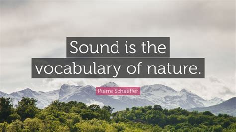 Top 10 Pierre Schaeffer Quotes (2025 Update) - QuoteFancy