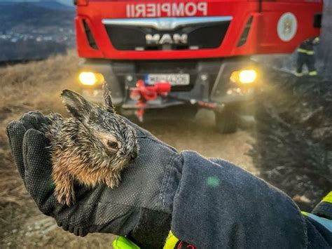 Ziua mondială a fotografiei Ziarul Dâmboviţa