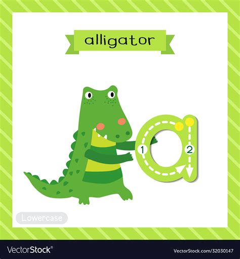 Letter A Lowercase Tracing Alligator Royalty Free Vector