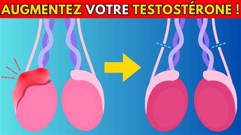 Comment Augmenter Naturellement La Production De Testost Rone Sant