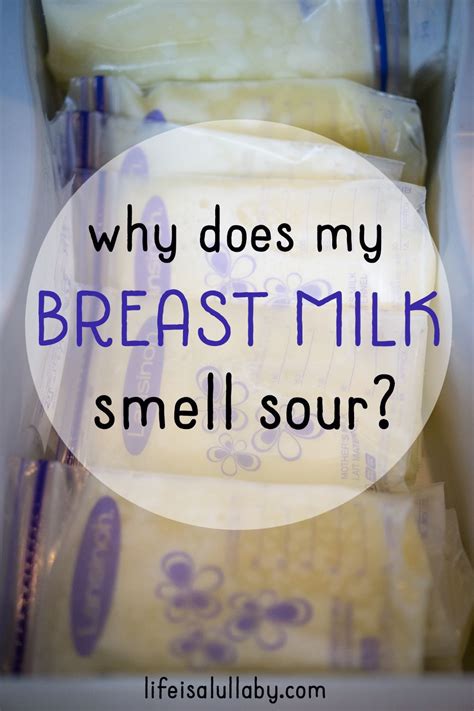 Why Does My Breast Milk Smell Sour Artofit