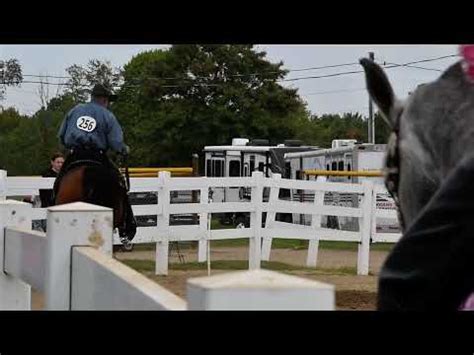 Paul In Class Arabian Western Pleasure Championship Randolph