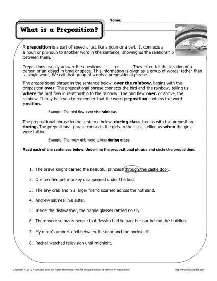 What Is A Preposition Printable Worksheet