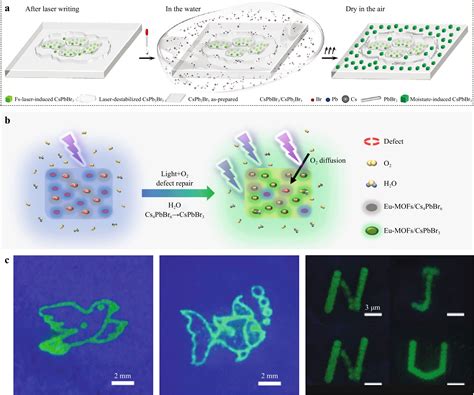 Direct Laser Writing On Halide Perovskites From Mechanisms To Applications