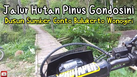 Jalan Terdekat Ke Gondosini Hutan Pinus Viral Di Bulukerto Wonogiri