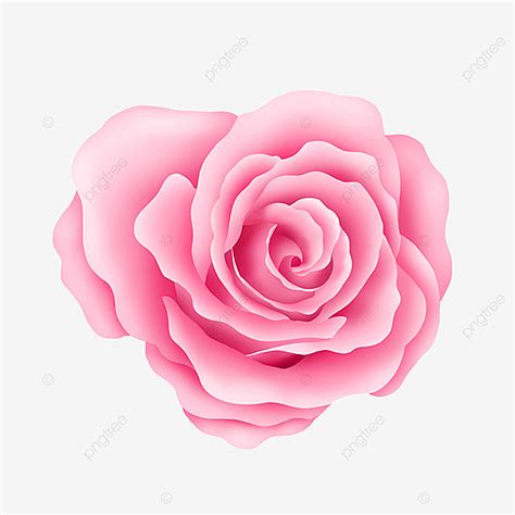 Flor Rosa Rosa Png Dibujos Rosado Flor Rosa Flores Png Y Psd Para