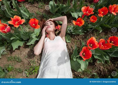 Woman Lying In Red Tulip Field Stock Photo Image Of Lifestyles