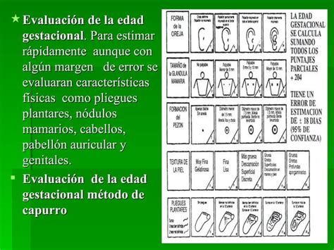 Recién nacido normal PPT