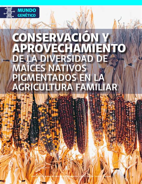 PDF CONSERVACIÓN Y APROVECHAMIENTO DE LA DIVERSIDAD DE MAÍCES NATIVOS